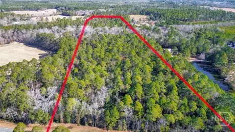 24.62 Acres of Wooded Land