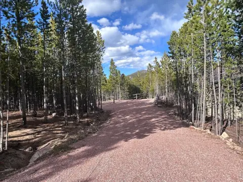 Land in Red Feather Lakes