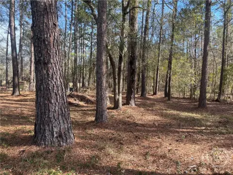 Bloomingdale Land with Mobile Home