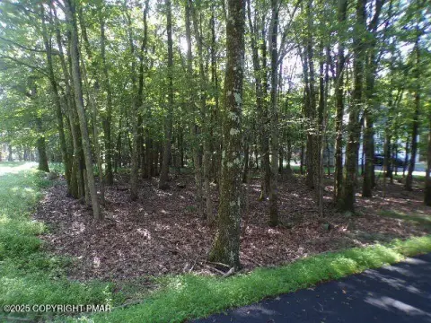Albrightsville Land For Sale