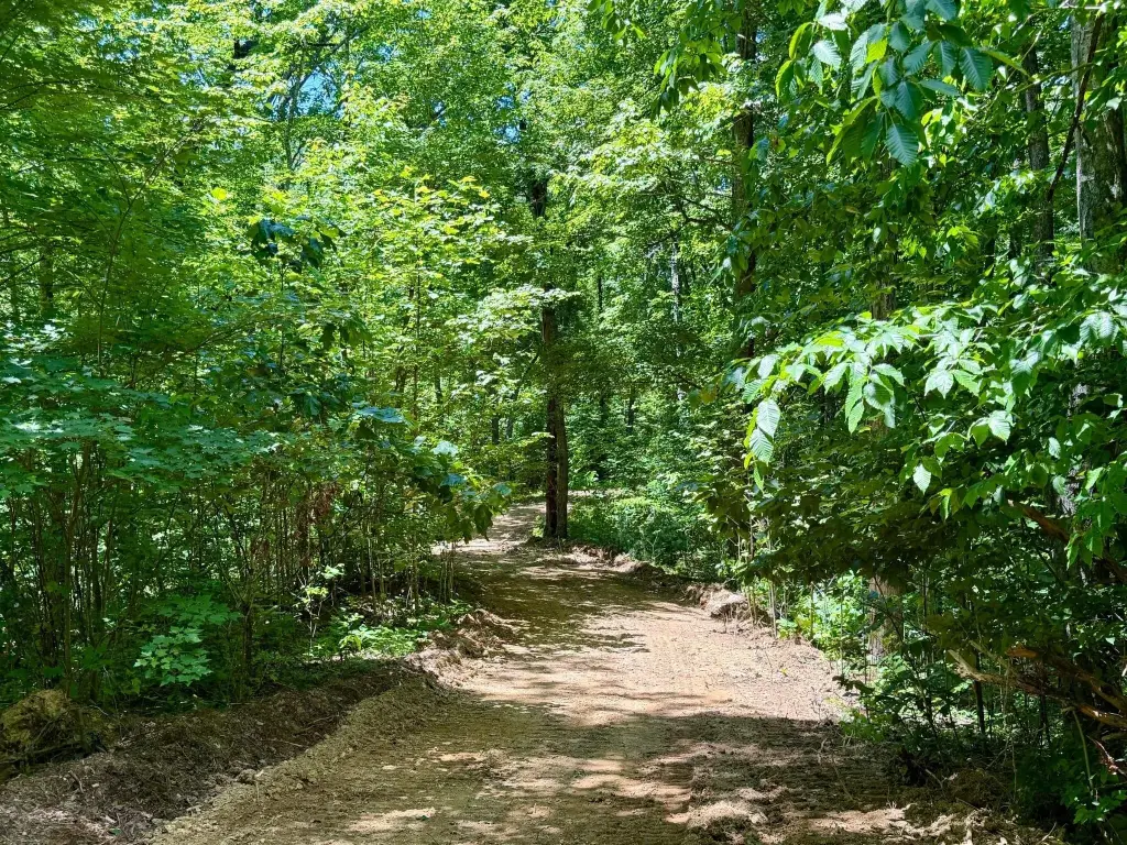 Picture 27