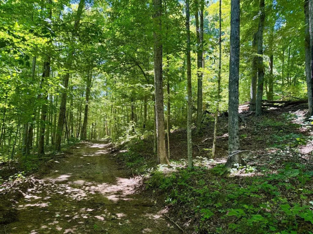 Picture 31