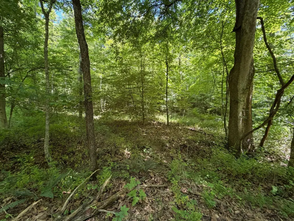 Picture 37
