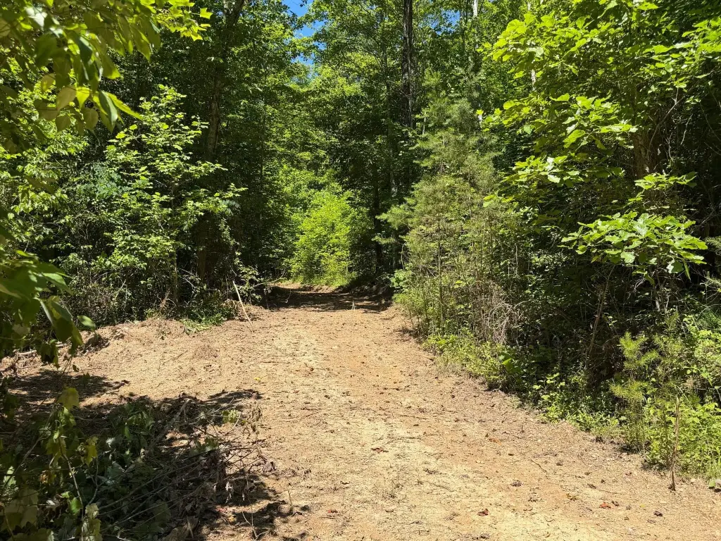 Picture 30