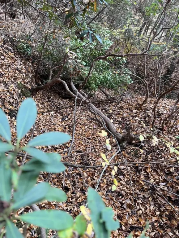 Picture 17