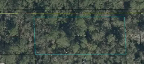 Vacant Lot in Old Town