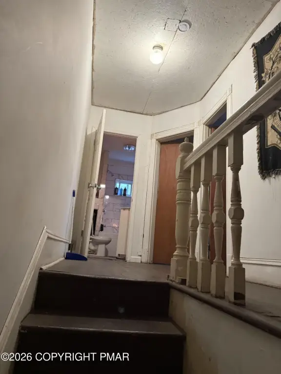 Picture 23