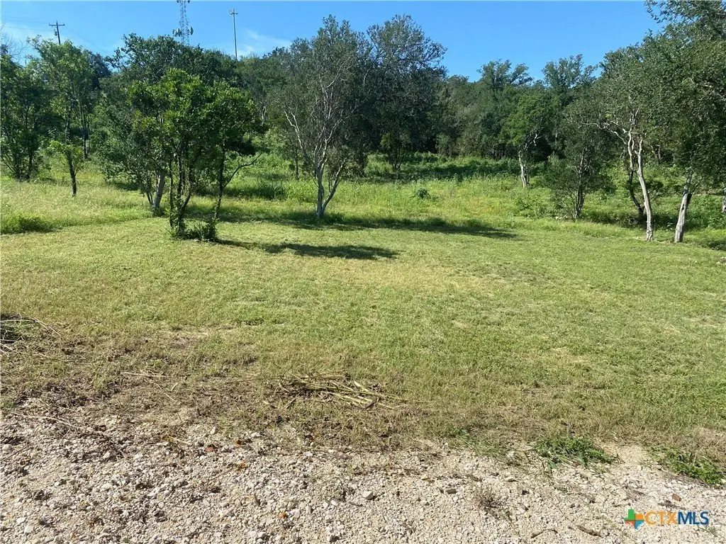 Picture 12