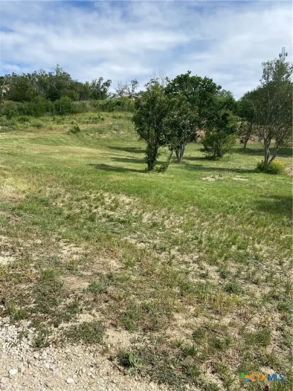 Picture 8