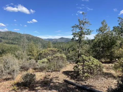 100-Acre Forested Parcel in Trail, OR