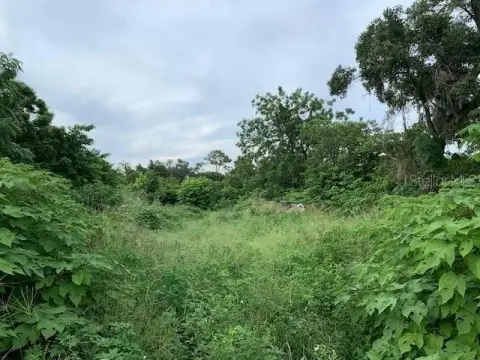 Apopka Commercial Land For Sale