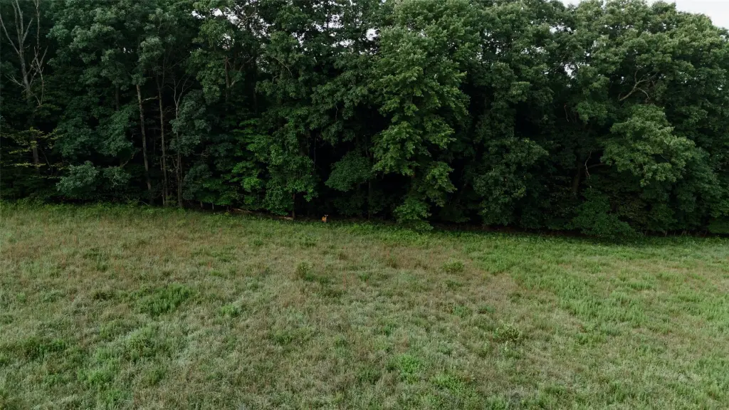 Picture 17