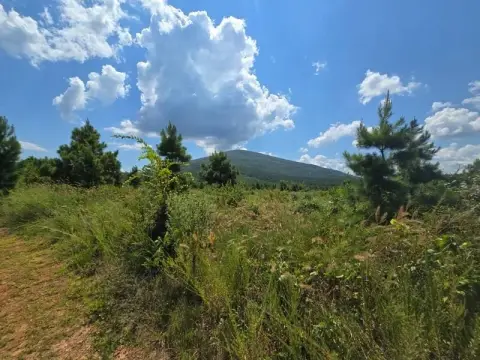 80 Acres Timber Investment Property