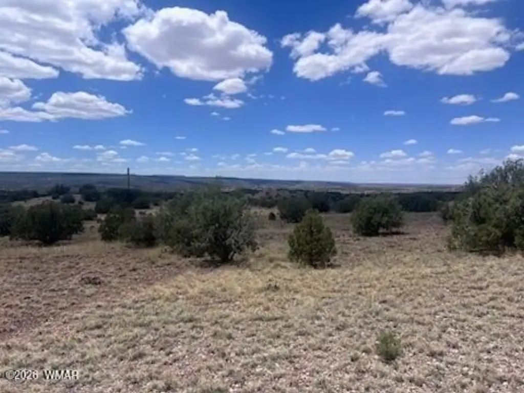 Picture 10