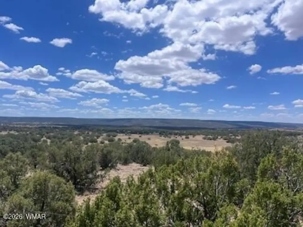 Picture 22