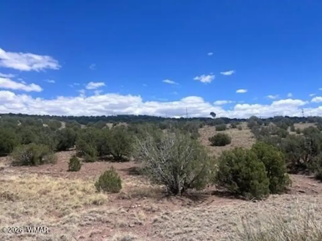 Picture 25