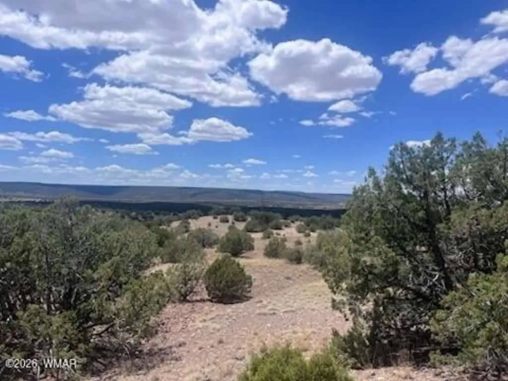 Picture 7
