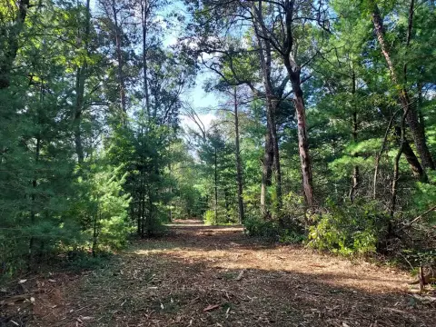 Wooded Land Near Castle Rock Lake