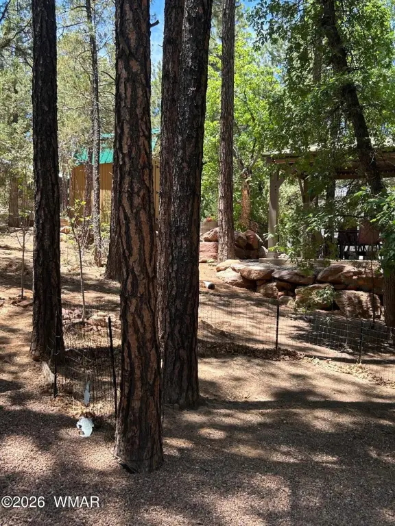Picture 36