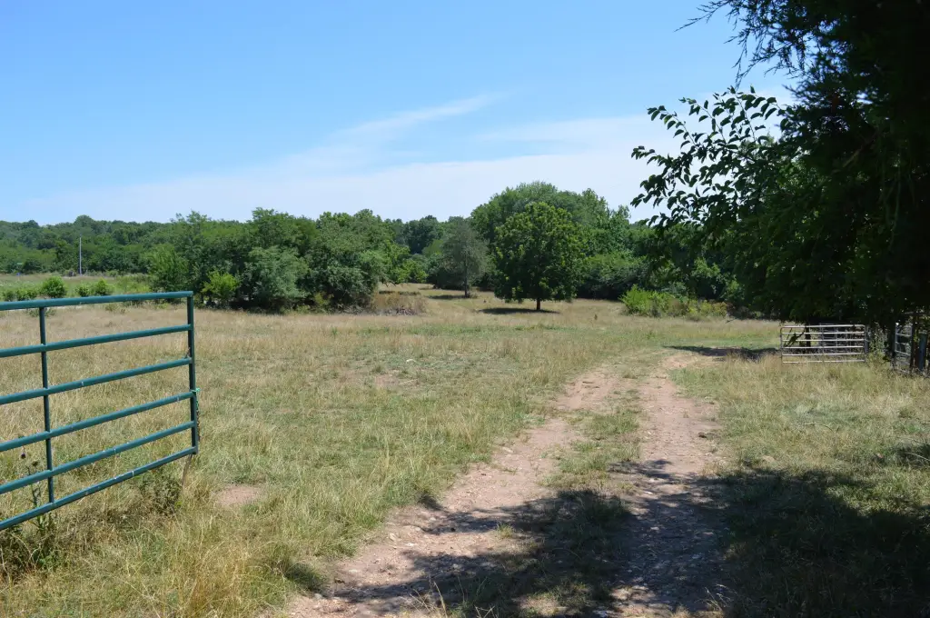 Picture 17