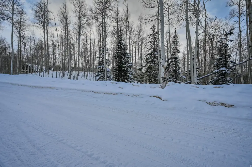Picture 29