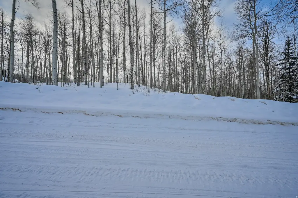 Picture 28