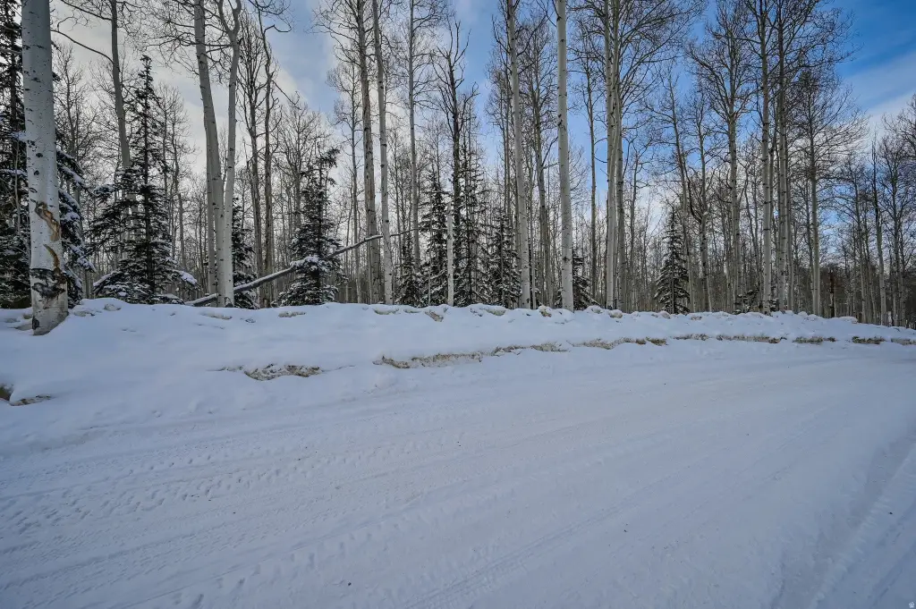 Picture 30
