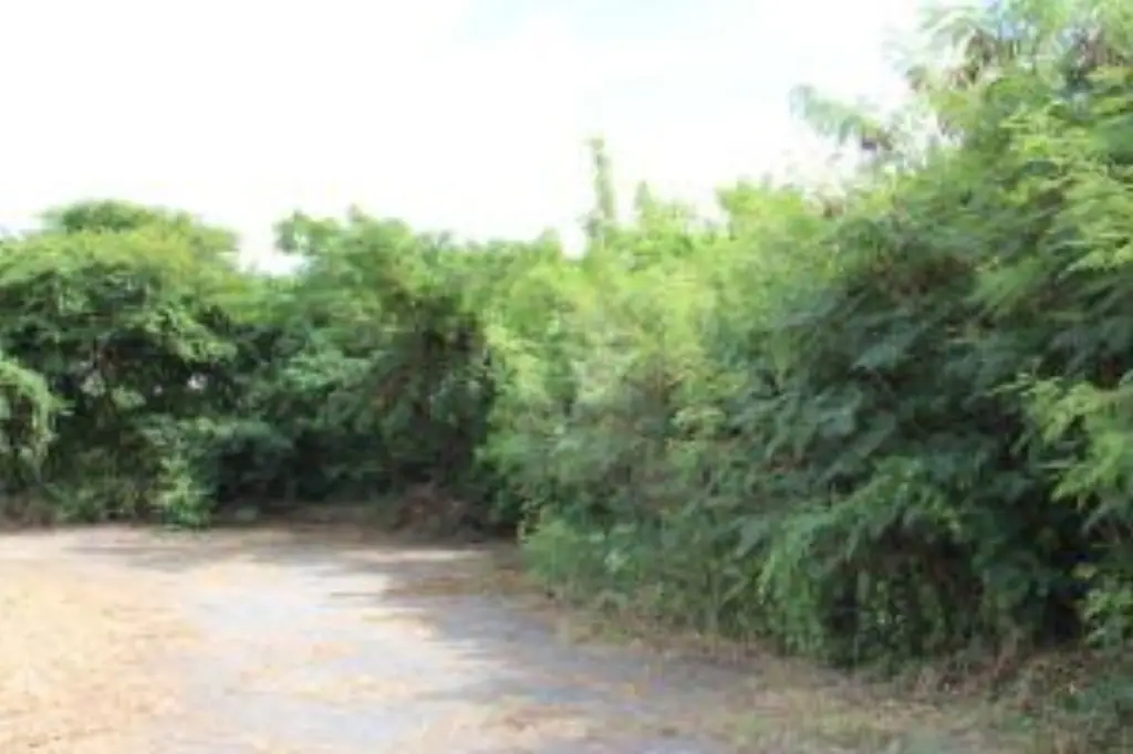 Picture 3