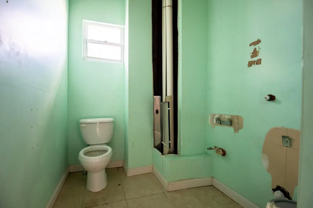 Picture 14