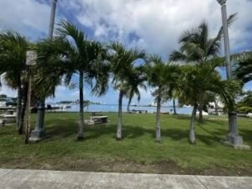 Picture 10