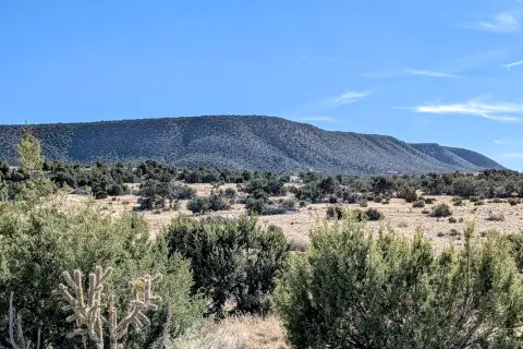 Mountainair Land with Mountain Views