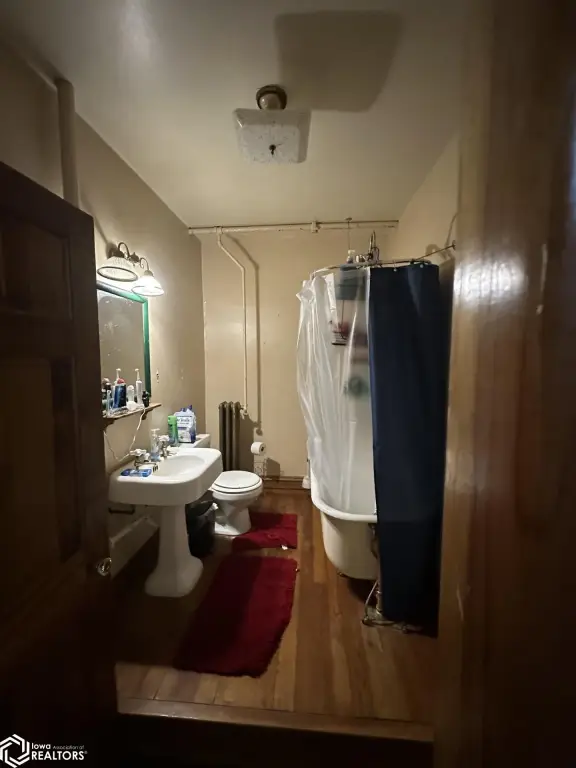 Picture 19