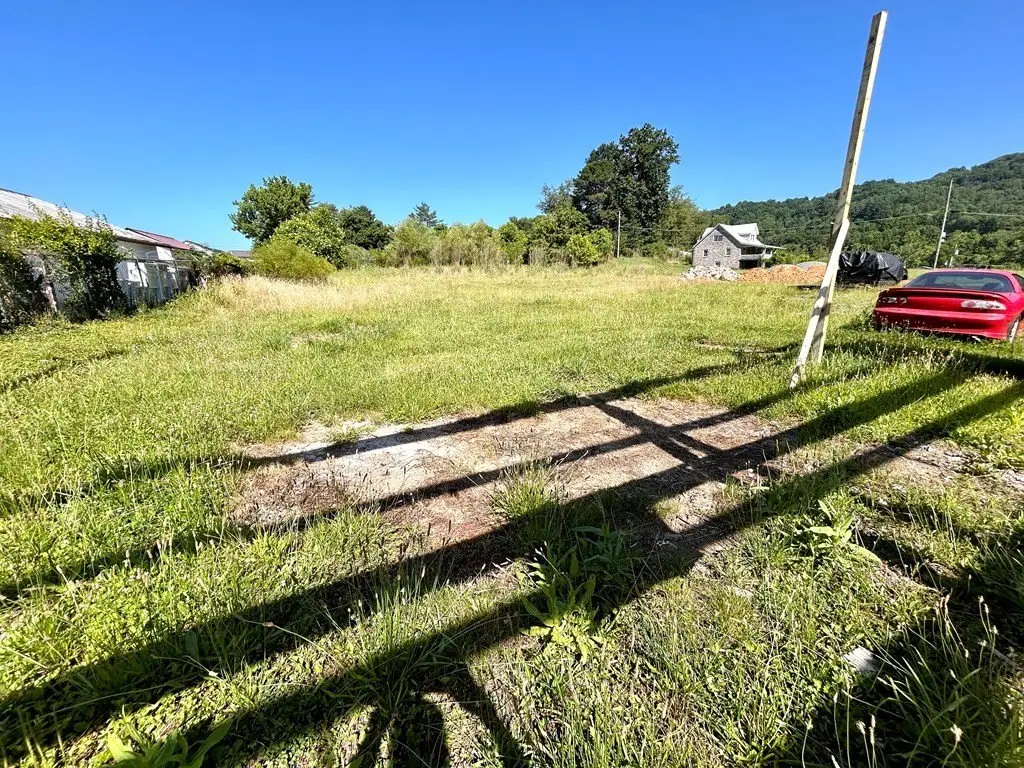 Picture 5