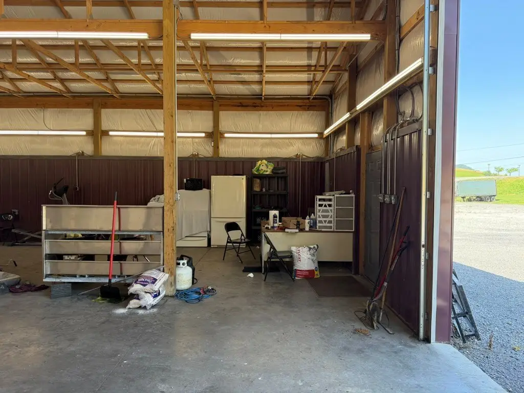 Picture 6