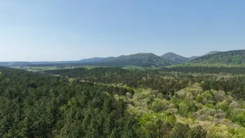 Secluded Pike County Vacant Land