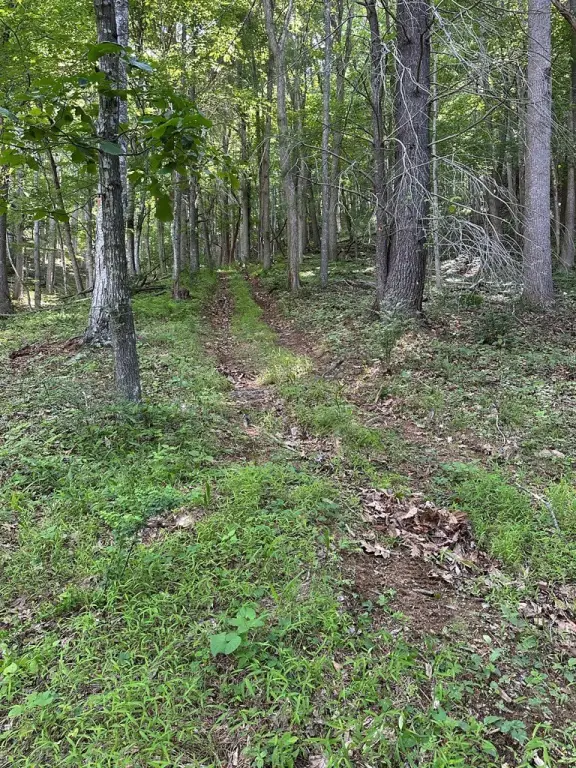 Picture 20