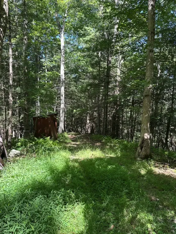 Picture 36