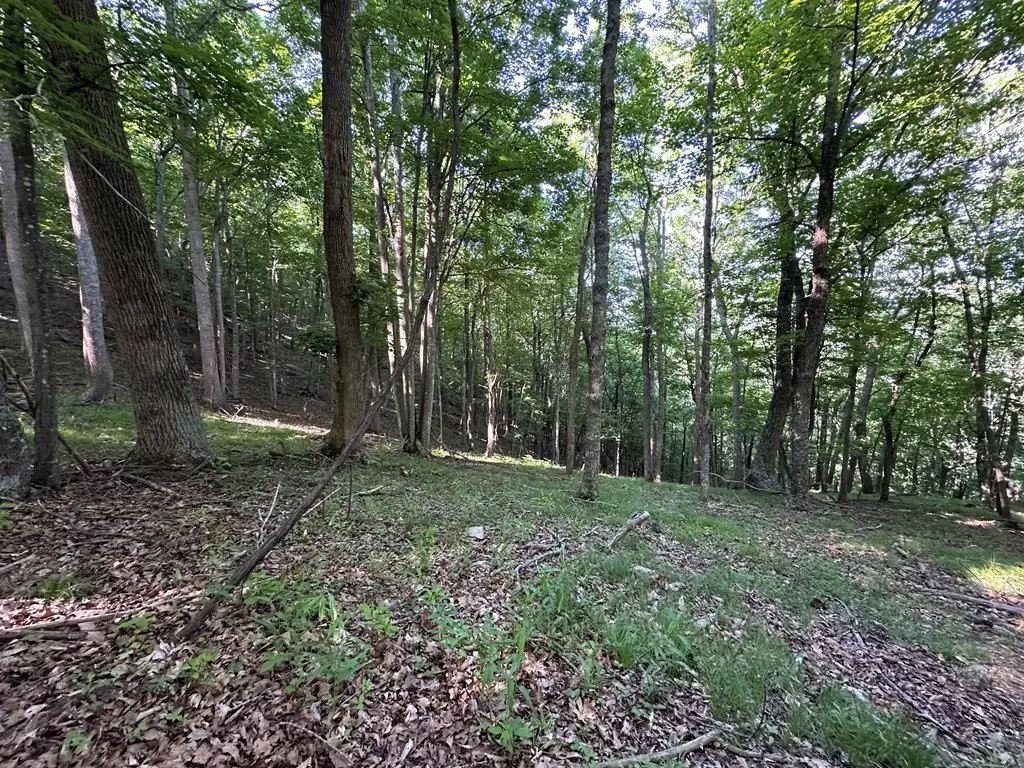 Picture 19