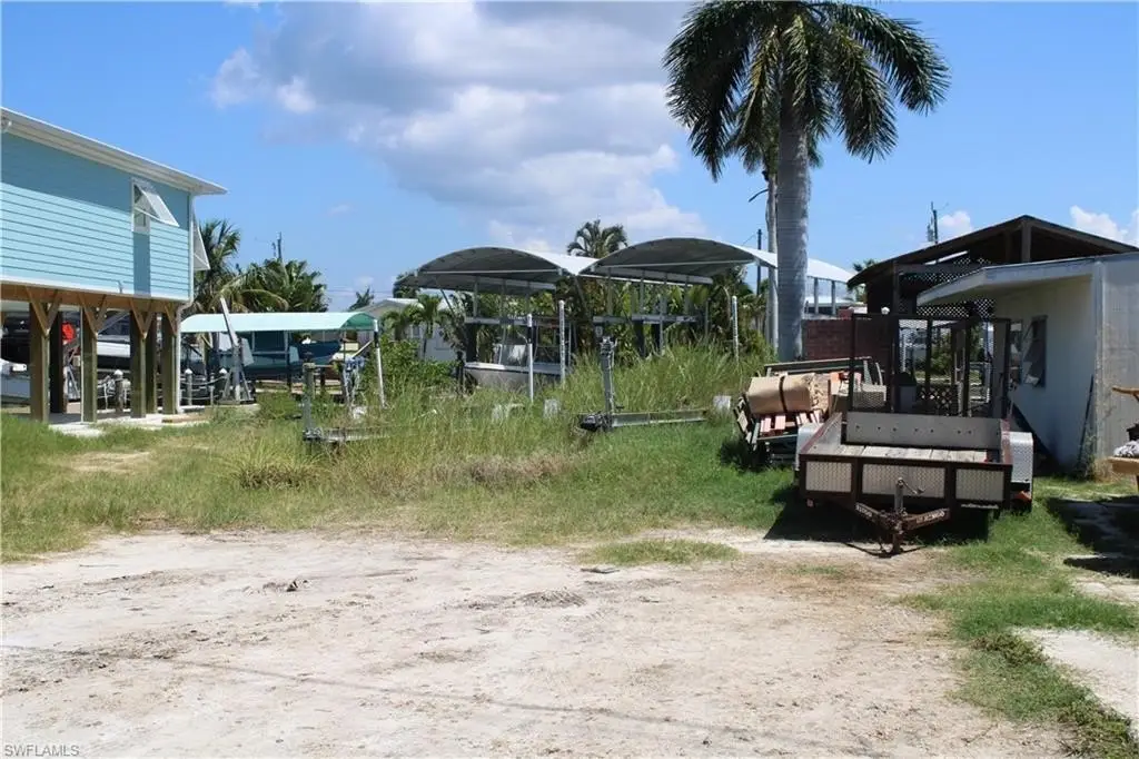 Picture 6