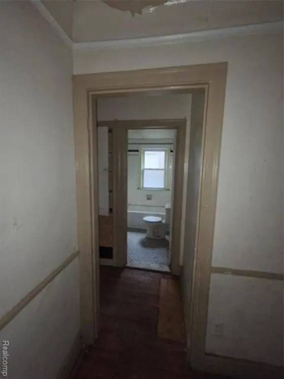 Picture 20