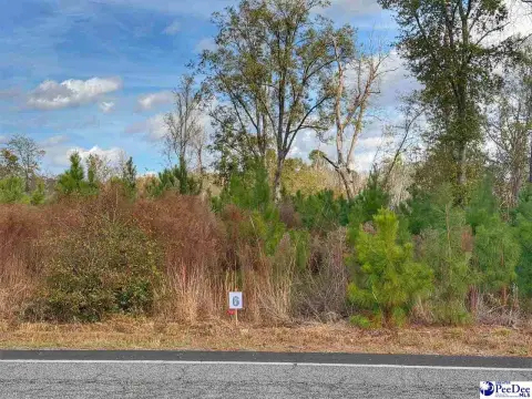 Residential Lot in Latta, SC