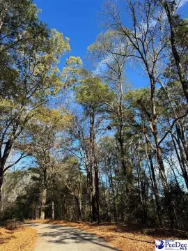 2.2 Acres in Society Hill