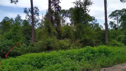 DeLand Buildable Lot Opportunity