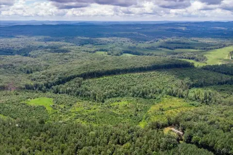 62 Acres of Wooded Land