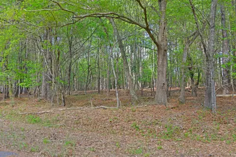 Saint Matthews Land For Sale