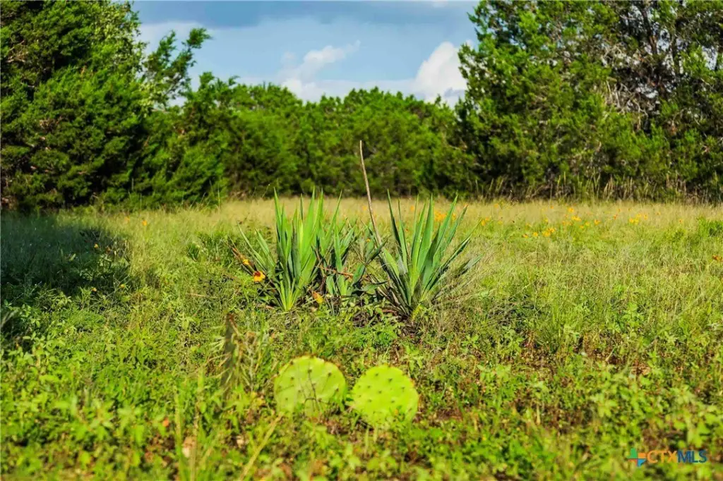 Picture 23