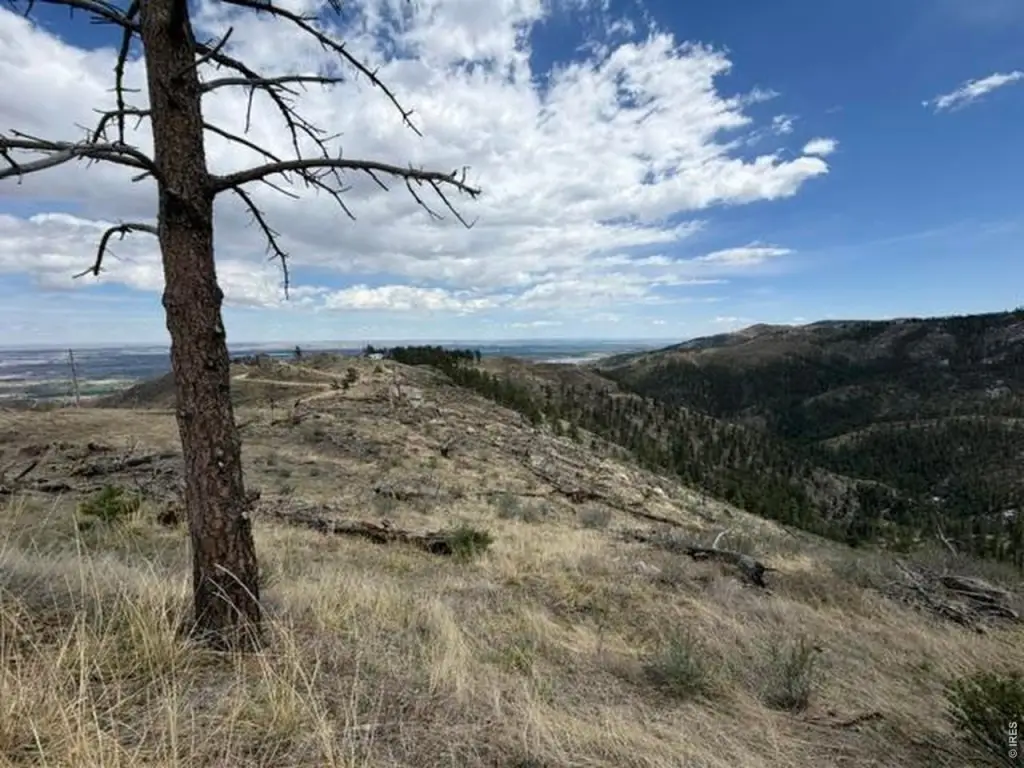 Picture 24