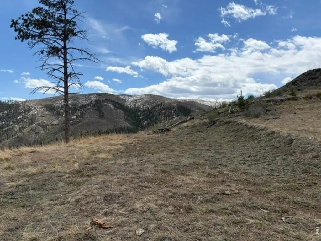 Picture 23
