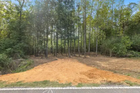 Creek Front Land For Sale