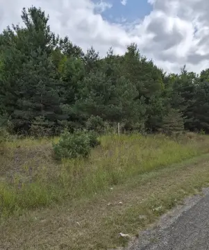 Flat Wooded Land
